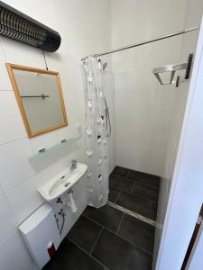uma casa de banho com um lavatório e um chuveiro em Central Plaza mini apartment 1 em Bruck an der Leitha