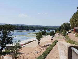 una vista de un río con un puente en el fondo en Lucy Appart, en Roanne