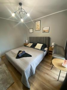 1 dormitorio con 1 cama y 1 silla en Amonit, en Olsztyn