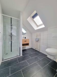 een badkamer met een glazen douche en een toilet bij Le Tokyo - Studio gare in Mulhouse