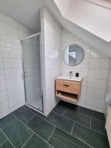 een badkamer met een wastafel en een spiegel bij Le Tokyo - Studio gare in Mulhouse