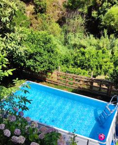 una vista aérea de una piscina en un jardín en Casa Vacanze Fontanelle en Badolato