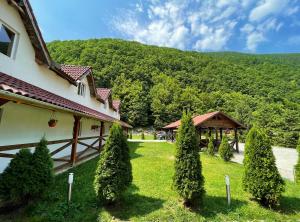 a building with trees in front of a mountain at Pensiunea Dany in Clopotiva