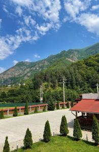 a building with a red roof and mountains in the background at Pensiunea Dany in Clopotiva