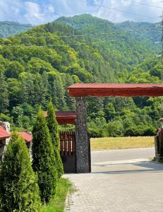 a pavilion with a view of a mountain at Pensiunea Dany in Clopotiva