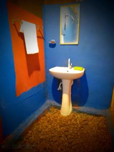 a bathroom with a white sink in a blue wall at River Side Cottage in Udawalawe