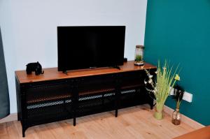 TV a/nebo společenská místnost v ubytování Dormir à Brioude - appartement 'esprit nature'