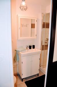 a bathroom with a white sink and a mirror at Dormir à Brioude - appartement 'esprit nature' in Brioude