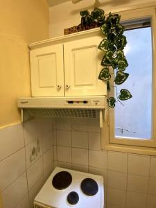 een keuken met een fornuis en een raam met een potplant bij Cute 2bdrm in Salonica Center in Thessaloniki