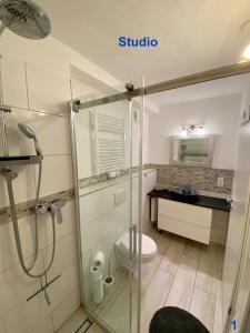 a bathroom with a shower and a toilet and a sink at Ferien im FerienStudio1A in Brüggen +7 photos