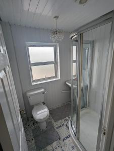 uma casa de banho com um WC, um chuveiro e uma janela. em Antrim Heights BnB em Antrim