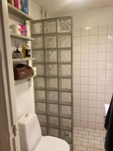 a bathroom with a toilet and a shower at Shared apartment close to the city center in Stockholm