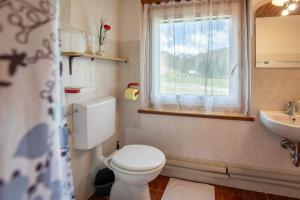 Koupelna v ubytování Apartmaji Preželj