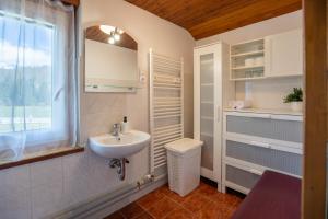 Koupelna v ubytování Apartmaji Preželj