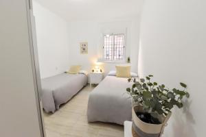 a white room with two beds and a potted plant at New! Spacious & River in Seville