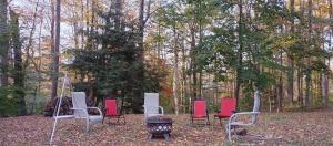 een groep stoelen en een vuurplaats in het bos bij Heart of the Berkshires Motel in Pittsfield