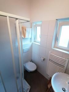 a bathroom with a toilet and a shower and a sink at Pension Sunnhofer in Vilpiano