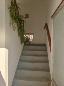 un escalier avec une bande de plantes dans l'établissement Smeštaj Stanojević, à Pribojska Banja