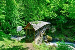 Příroda nedaleko bed and breakfast