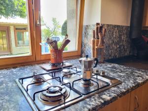 ein Kochfeld mit einem Mixer darüber in der Unterkunft Holiday Home Bellavista by Interhome in Ronco sopra Ascona