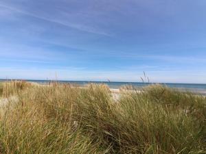 Vester Sømarken的住宿－Holiday Home Alita - 300m from the sea in Bornholm by Interhome，一片高大的草地和大洋背面的海滩