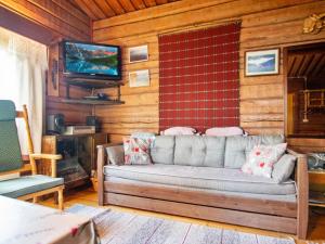 ein Wohnzimmer mit einem Sofa und einem TV in der Unterkunft Holiday Home Hannula by Interhome in Ikaalinen