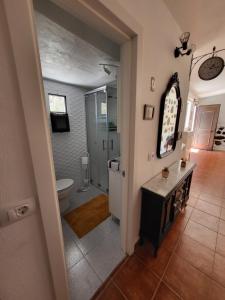 a bathroom with a toilet and a sink and a mirror at Casa Rural LOS PINARES El Juncal de TEJEDA in Tejeda +90 photos