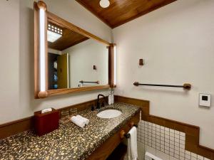 W łazience znajduje się umywalka i lustro. w obiekcie Lodge At Marconi w mieście Marshall