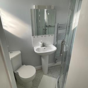 a bathroom with a toilet and a sink and a shower at Swanage Bay Coastal Apartment in Swanage