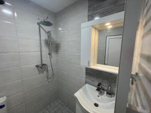 Apartman Zec Beli Sokobanja في سوكو بانيا: حمام مع حوض ودش مع مرآة