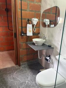 a bathroom with a sink and a toilet and a mirror at HOTEL EMBRUJO CAMPESTRE in Jardin