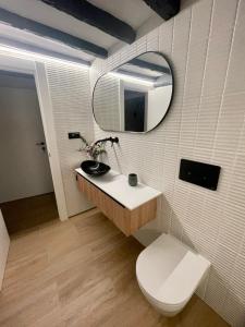 a bathroom with a sink and a toilet and a mirror at Apartamento Magdalena 2 in Oviedo