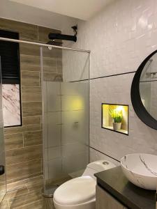 a bathroom with a white toilet and a sink at HOTEL ISIS CONFORT in La Mesa