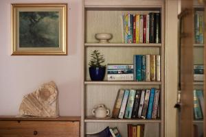 a book shelf with books and a plant on it at Villa Kamenica in Komiža