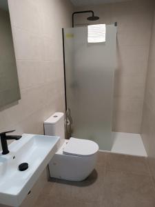 a bathroom with a toilet and a sink and a shower at APARTAMENTOS Posada Del Mar in Los Mártires