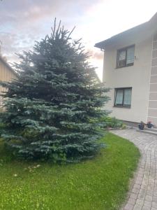 Zahrada ubytování Apartment SAMANTA- self-checkin - near Jurmala, airport