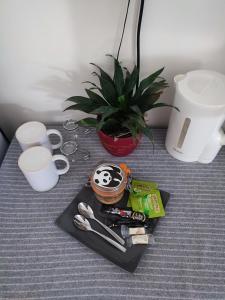 einem Tisch mit einem Tablett mit einer Topfpflanze und einer Topfpflanze in der Unterkunft Suite privée in Montélimar