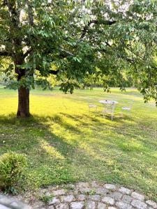 un tavolo e sedie sotto un albero in un campo di La Vieille Bouverie a Savennières