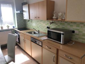 eine Küche mit einer Spüle und einer Mikrowelle auf der Theke in der Unterkunft Apartmán v Týně nad Vltavou in Týn nad Vltavou