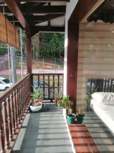 a balcony with potted plants on a house at Hotel Boutique Babilonia Manizales in Manizales