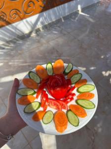 a person holding a plate of fruit and vegetables at Star Dune Camp in Nuweiba