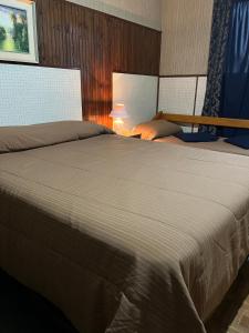 a bedroom with a large bed and a lamp at Hotel Rosario in Rosario