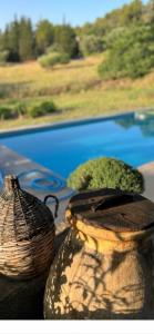 um cesto e um vaso ao lado de uma piscina em La naronne em Bandol