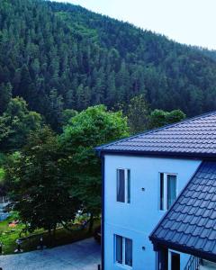 a white building with a tree in front of a mountain at Serenity Likani Villa Hotel in Borjomi