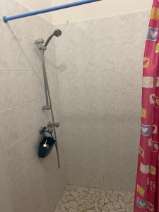 a shower in a bathroom with a shower curtain at Au Gré des Alizés - Kaz Soley Péyi in Capesterre-de-Marie-Galante