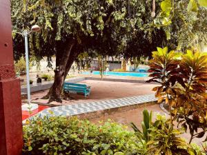 a park with a tree and a blue bench at Hospedagem Serra da Lua in Alter do Chao