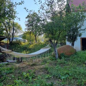 Vrt pred nastanitvijo Hooni_guesthouse