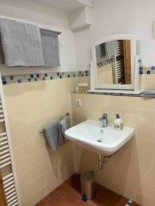 a bathroom with a sink and a mirror at Ferienwohnung im Heuboden in Züsch