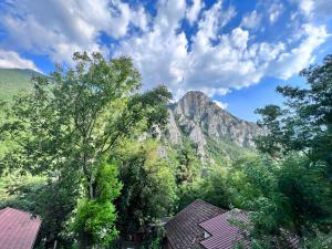 a view of a mountain with trees and buildings at Apartments / Studio Matka in Matka