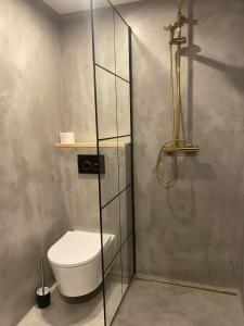 een badkamer met een toilet en een glazen douchecabine bij Loft Studios in Świnoujście